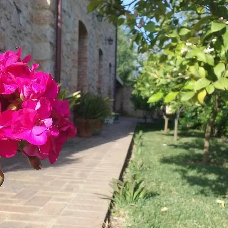 Bed & Breakfast Il Casale Delle Fragole Fondi
