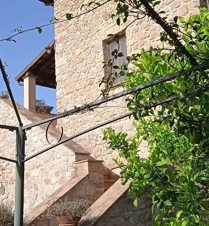 Il Casale Delle Fragole Bed & Breakfast Fondi