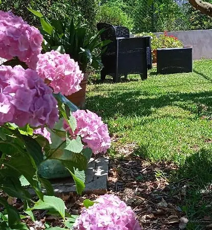 Il Casale Delle Fragole Bed & Breakfast
